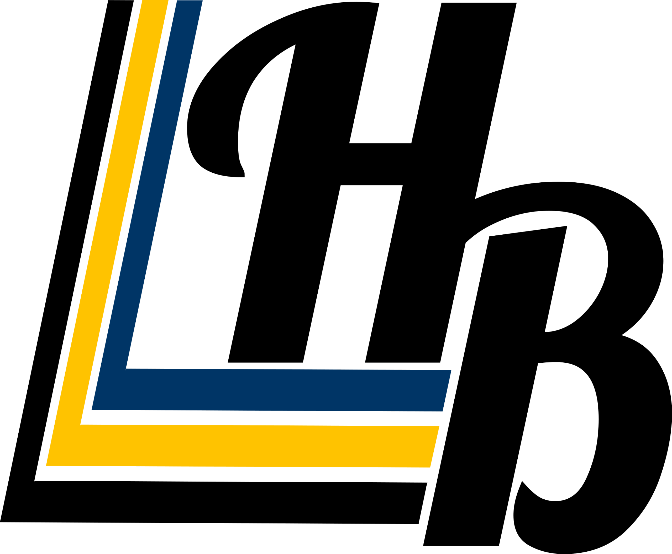 logo 2 letter, transparent background, color